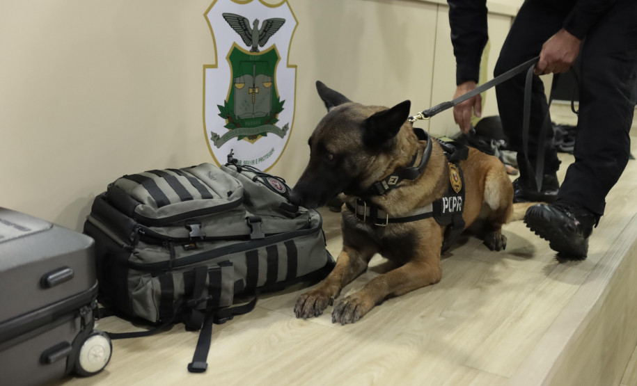 Celebrando 14 anos de atuação, Núcleo de Operações com Cães gerou prejuízo de R$ 61,3 milhões ao crime em 2025