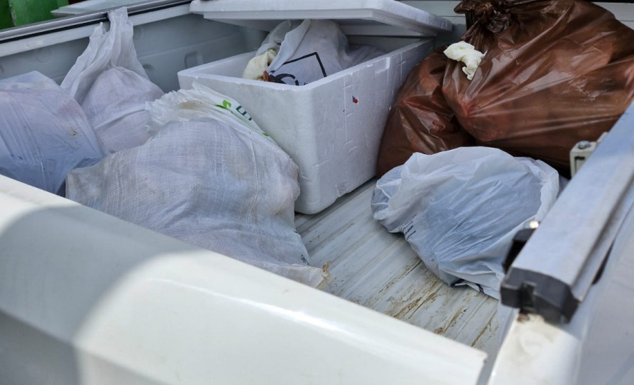 PCPR deflagra operação contra furtos de carga e prende quatro pessoas em General Carneiro