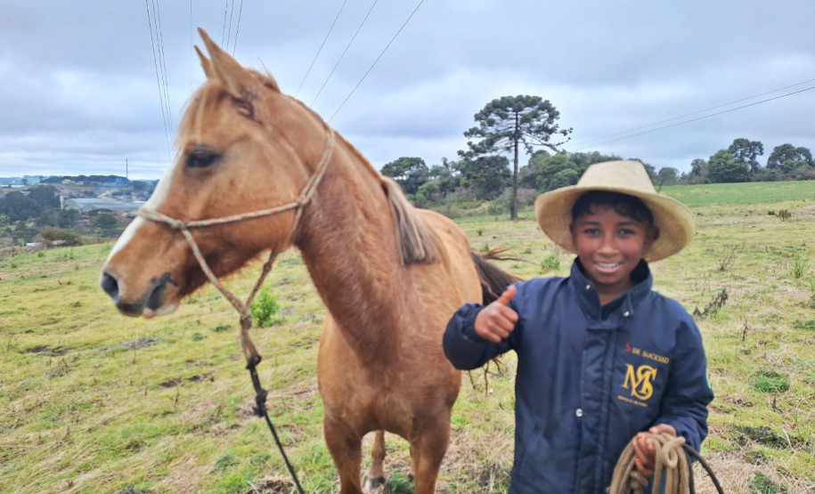 PCPR ajuda menino a encontrar sua égua em Palmas