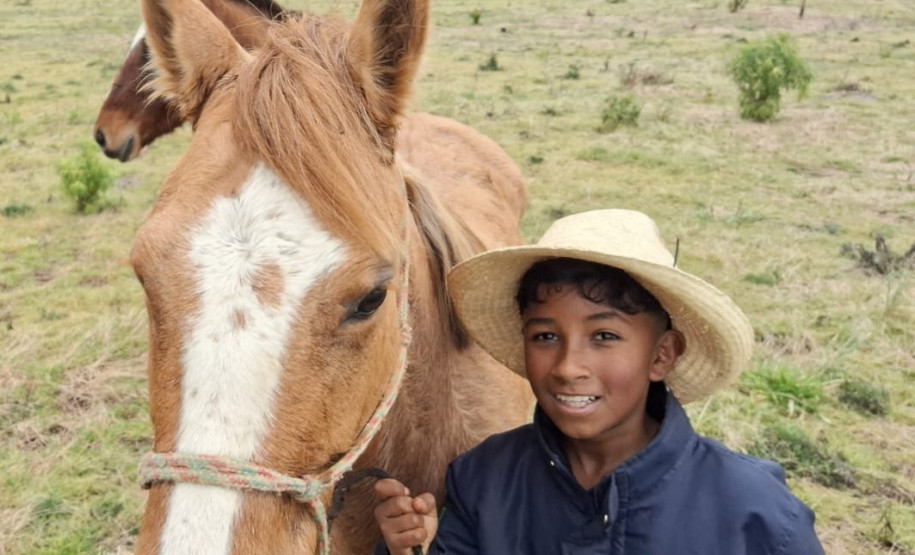 PCPR ajuda menino a encontrar sua égua em Palmas
