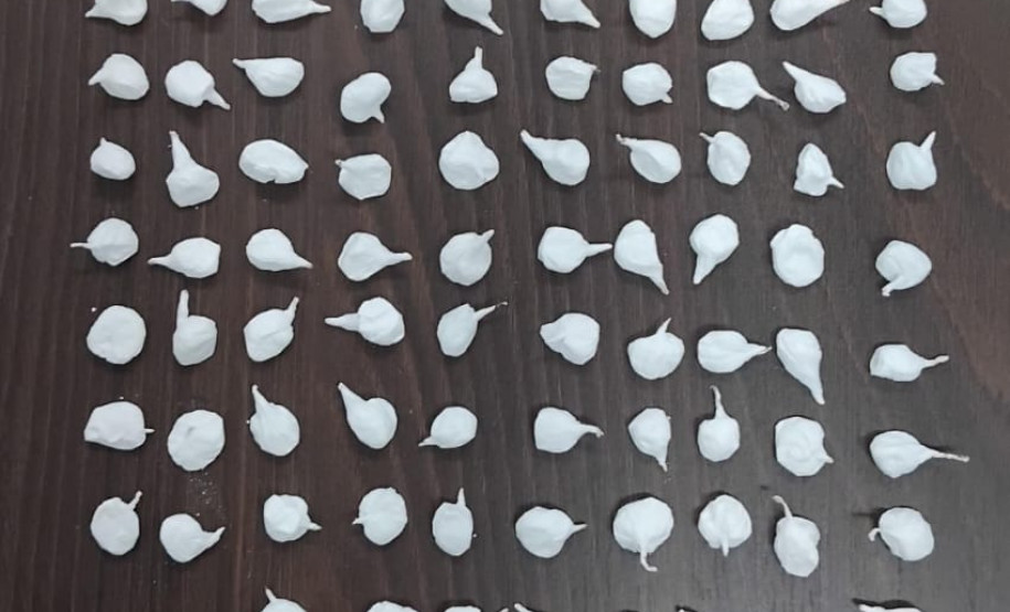 PCPR prende em flagrante homem por tráfico de drogas e apreende drogas em São José dos Pinhais