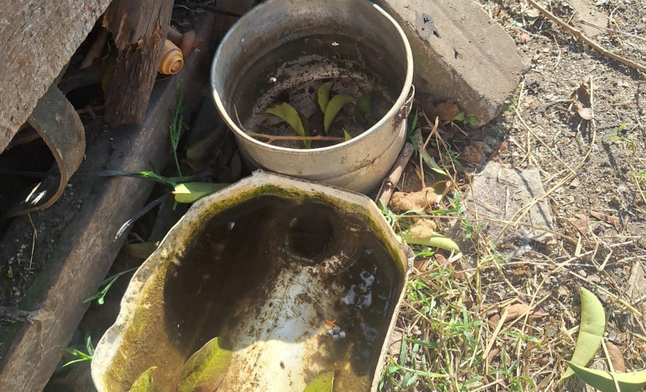 PCPR resgata onze cachorro em situação de maus tratos em Piraí do Sul