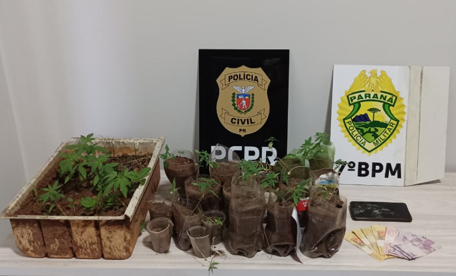 PCPR e PMPR prendem em flagrante homem por tráfico de drogas em Nova Olímpia