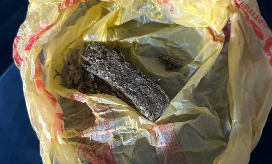 Com o apoio de outras forças, PCPR prende 14 pessoas durante operação deflagrada em Francisco Beltrão