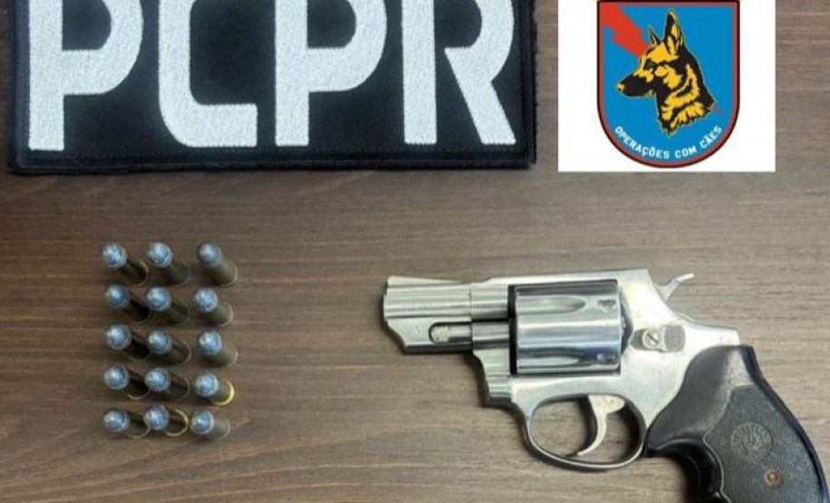 PCPR prende homem por posse ilegal de arma de fogo em Pinhais