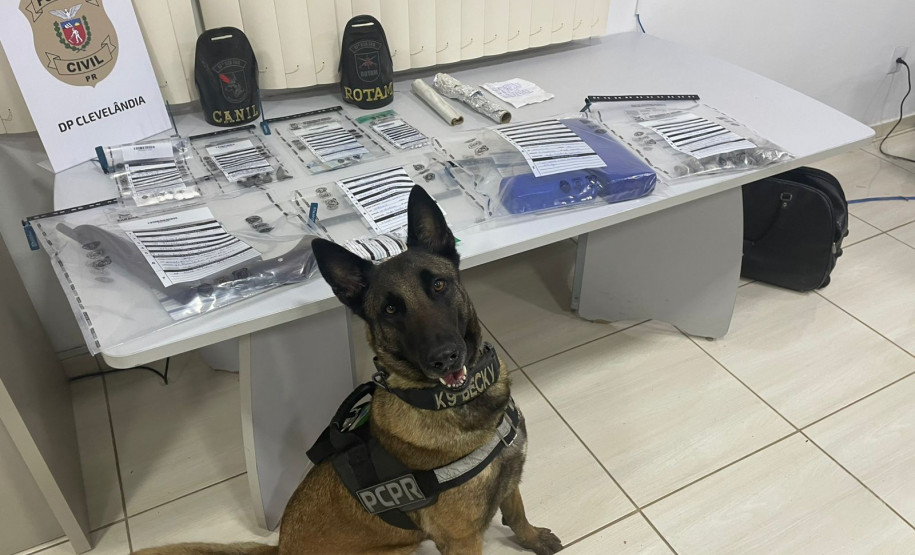 PCPR e PMPR prendem quatro pessoas por tráfico de drogas e furto no Sudoeste