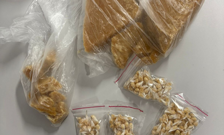 PCPR prende homem em flagrante por tráfico de drogas e posse ilegal de arma em Almirante Tamandaré