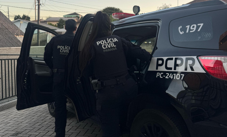 PCPR indicia homem por atropelar três cães em Piraquara