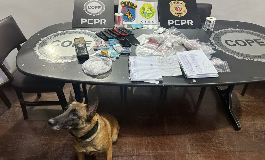 PCPR e PMPR prendem casal em flagrante por tráfico de drogas em Tijucas do Sul