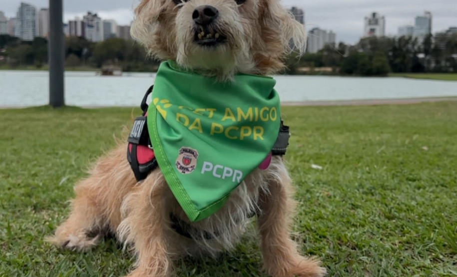 Cães policiais e resgates de animais: duas frentes de proteção da PCPR
