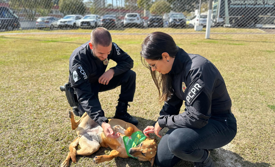 Contagem regressiva: último lote de inscrições para a XVIII Corrida da PCPR