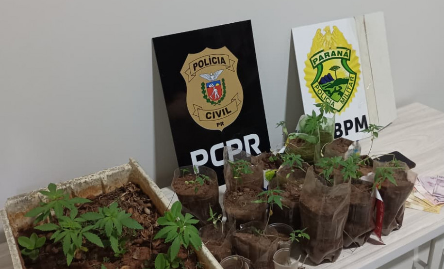 PCPR e PMPR prendem em flagrante homem por tráfico de drogas em Nova Olímpia