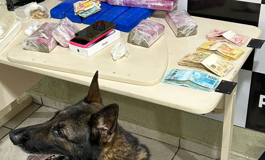 PCPR apreende mais de 7 quilos de drogas e uma arma de fogo durante ação em Nova Esperança