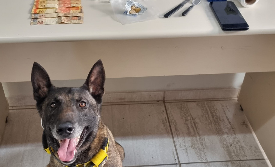 PCPR e GCM prendem duas pessoas em flagrante e apreende entorpecente em Ponta Grossa