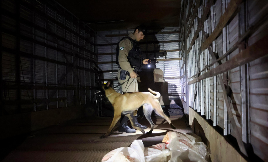 Sinergia: três operações superam 900 presos e apreendem 27 toneladas de drogas