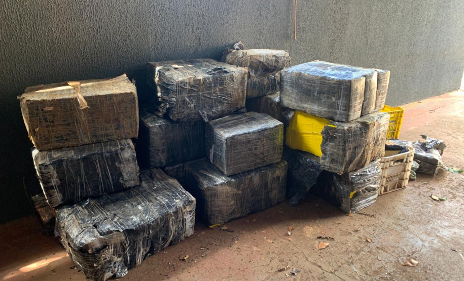 PCPR apreende aproximadamente 940 kg de maconha em diferentes ações em Foz do Iguaçu