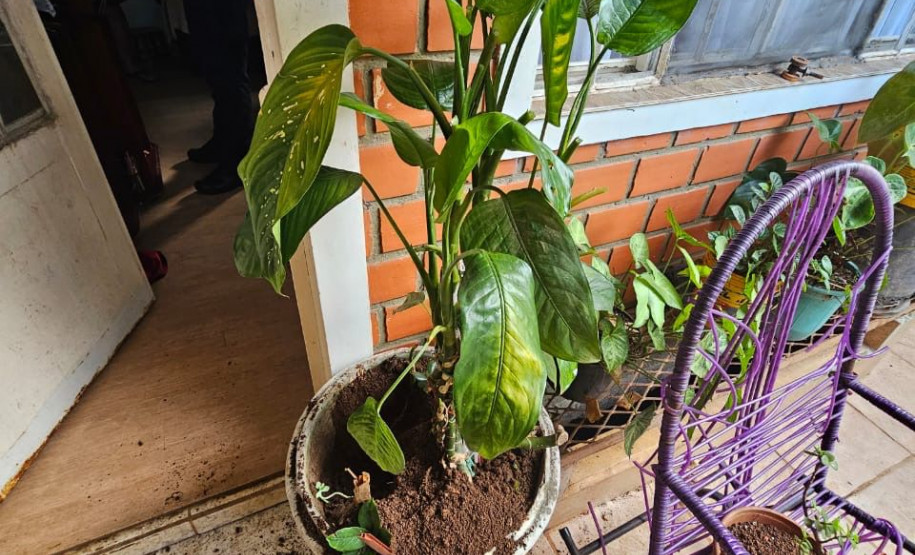 PCPR e PMPR recuperam objetos furtados em santuário de Guarapuava