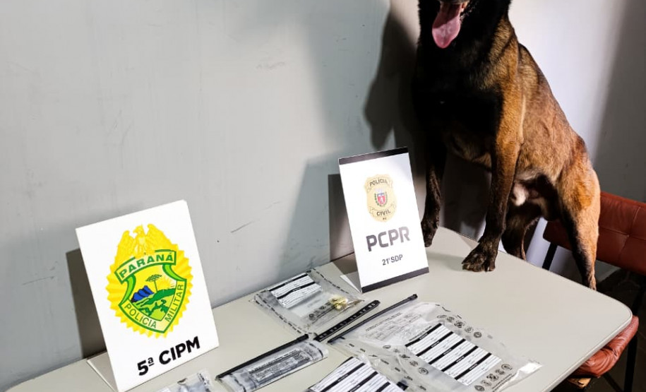 PCPR e PMPR cumprem mandado de busca e apreendem drogas em Cianorte