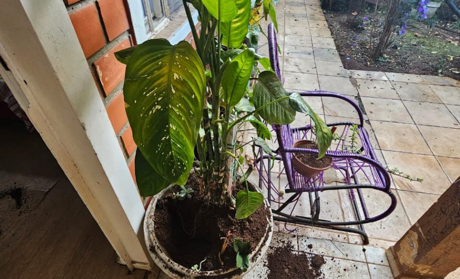 PCPR e PMPR recuperam objetos furtados em santuário de Guarapuava