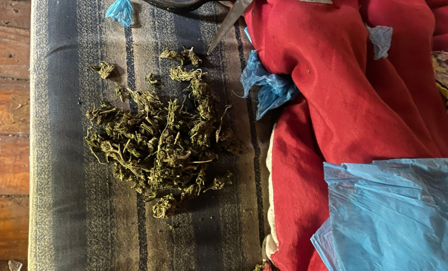 PCPR prende homem em flagrante por tráfico de drogas em Francisco Beltrão