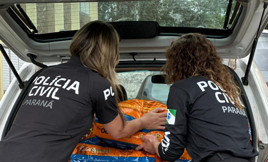 PCPR acompanha entrega de rações arrecadadas na XVIII Corrida da Instituição