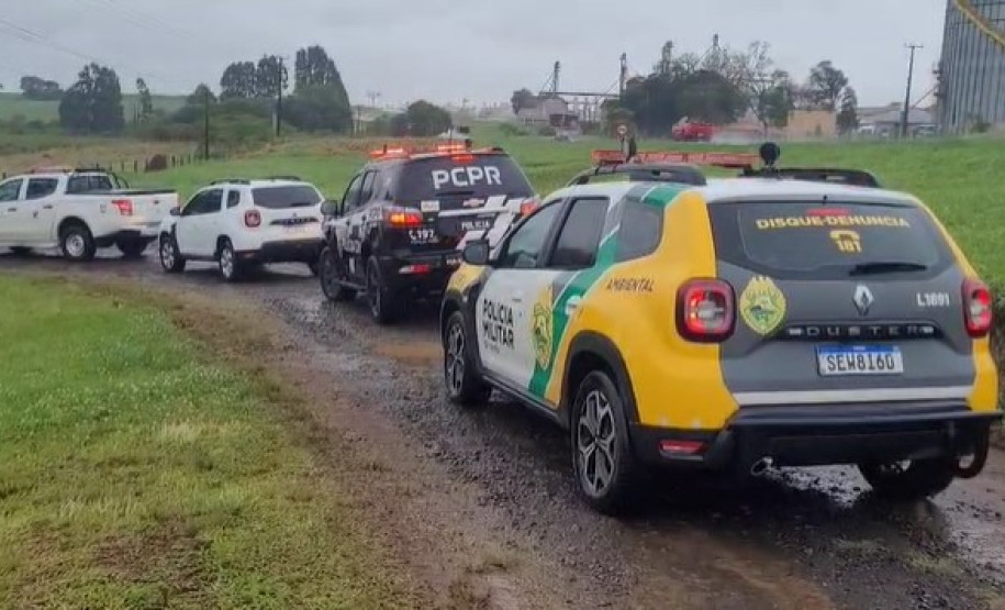 PCPR, PMPR e IAT prendem mulher por tráfico de animais e uso de documentos falsos em Guarapuava