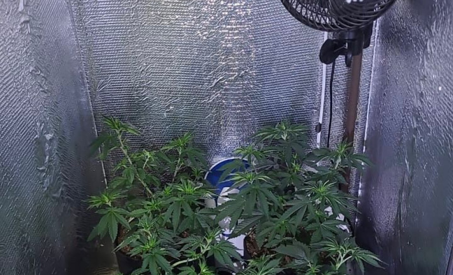 Polícias do Paraná desarticulam grupo criminoso e realizam 43 prisões em nove cidades