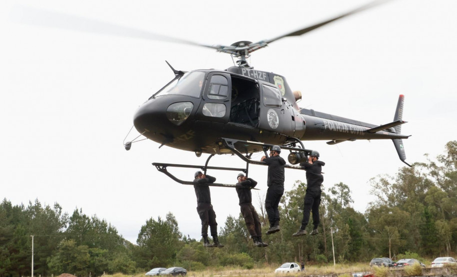 Negociações, resgates e operações de alto risco: grupo Tigre completa 35 anos