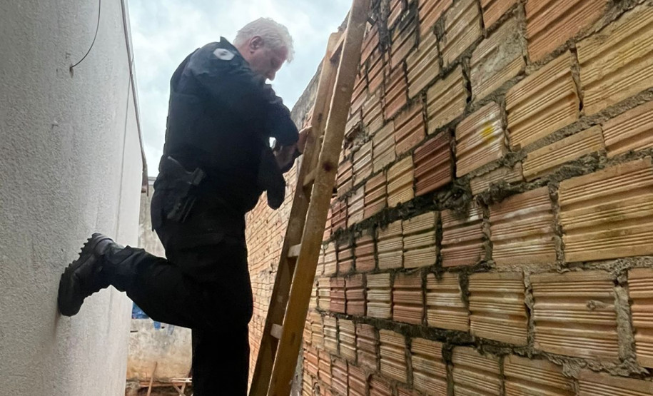 PCPR, PMPR e GCM prendem seis pessoas durante operação em combate ao tráfico de drogas em Cascavel