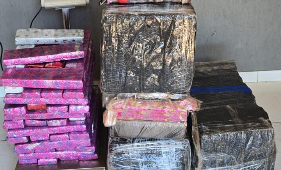 PCPR, PRF e GCM prendem quatro por tráfico e apreendem 233 quilos de maconha no Oeste do Estado