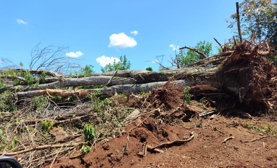 PCPR e PMPR prendem homem em flagrante por crime ambiental em Quedas do Iguaçu