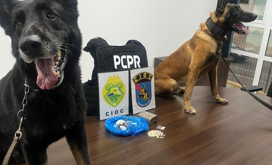 PCPR e PMPR prendem dois homens por tráfico de drogas em Pinhais