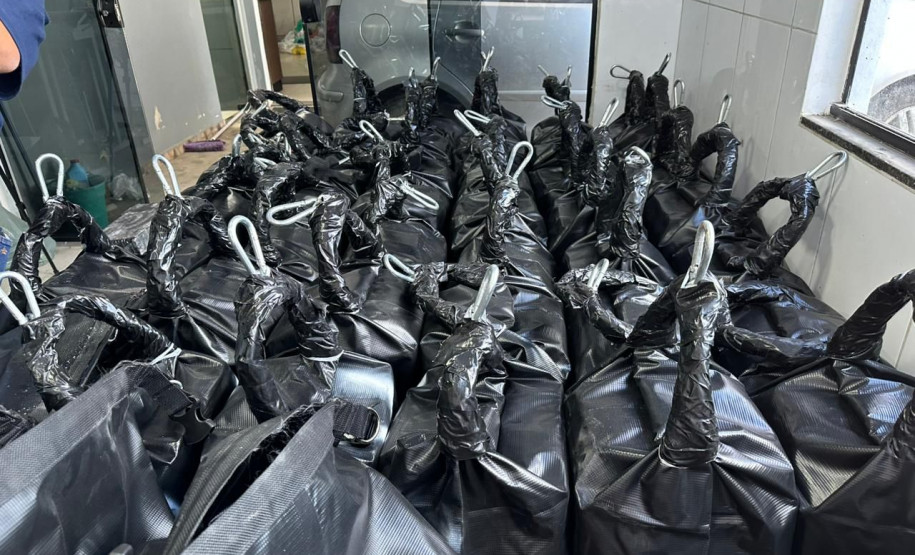 Polícias do Paraná apreendem a segunda maior carga de cocaína do ano: droga seria enviada à Europa