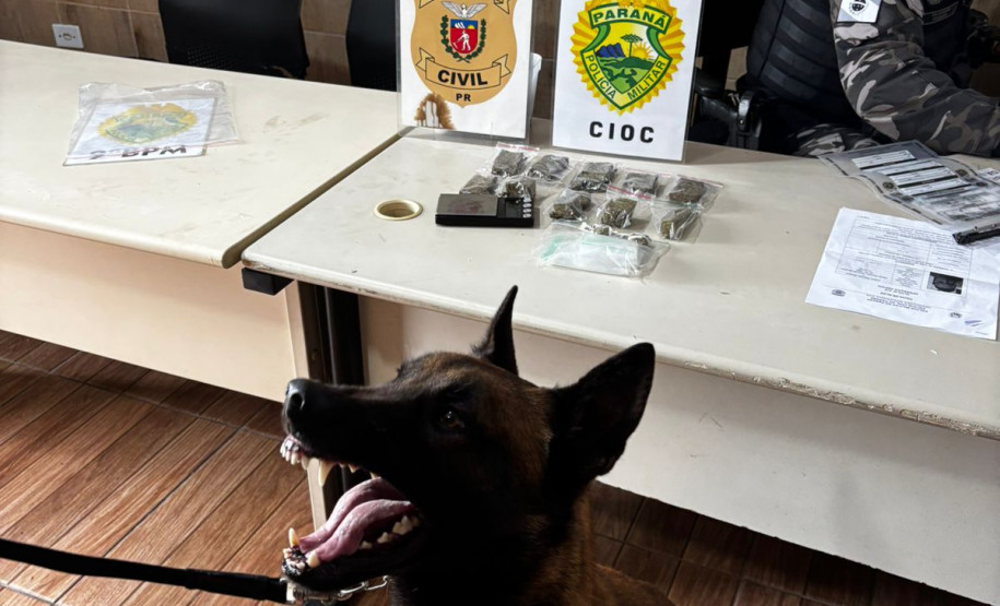 PCPR e PMPR prendem nove pessoas durante operação no Litoral do Paraná