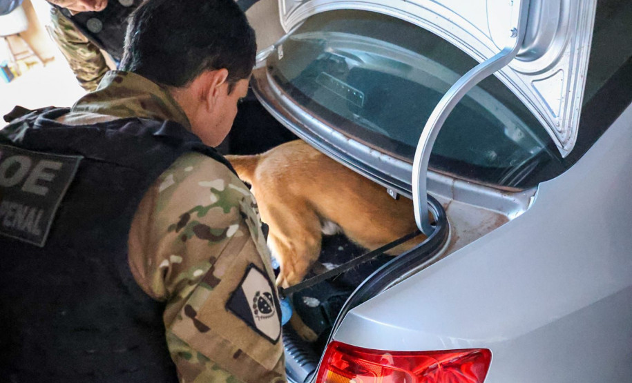 Polícias do Paraná prendem 25 integrantes de organização que movimentava 1,5 tonelada de drogas por mês