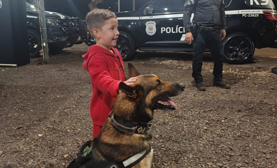 PCPR na Comunidade realiza mais de 3,2 mil atendimentos em Rolândia e Londrina