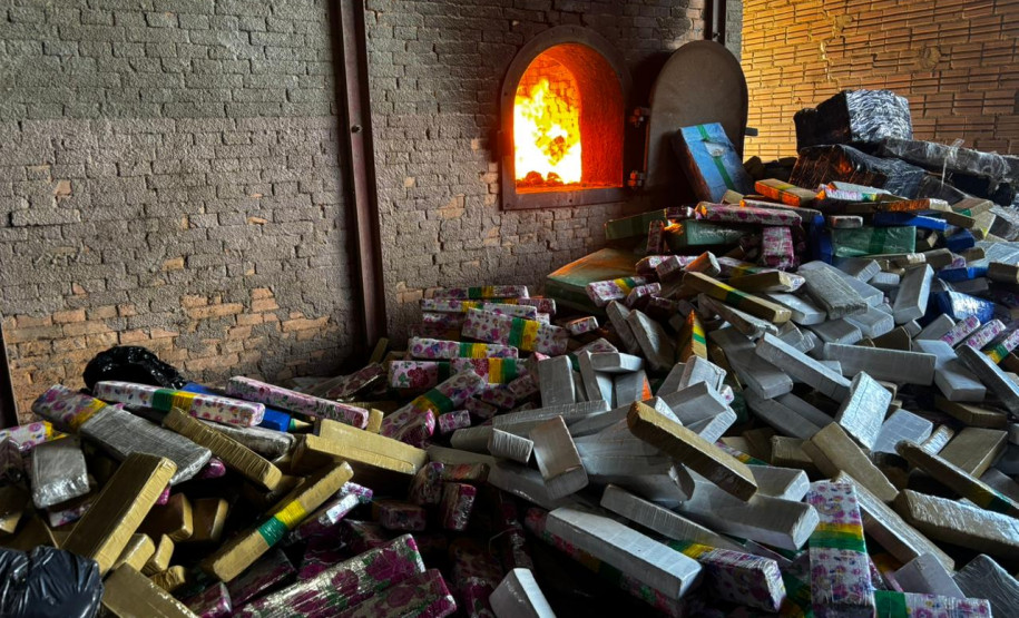 PCPR incinera mais de 3,5 toneladas de drogas em Palmeira