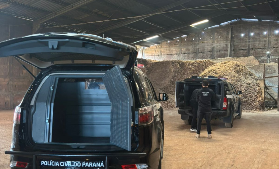 PCPR incinera 114 quilos de drogas apreendidas em Araucária