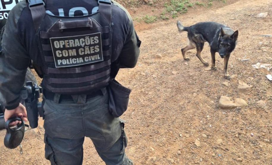 PCPR prende 56 pessoas durante megaoperação contra organização criminosa no Paraná