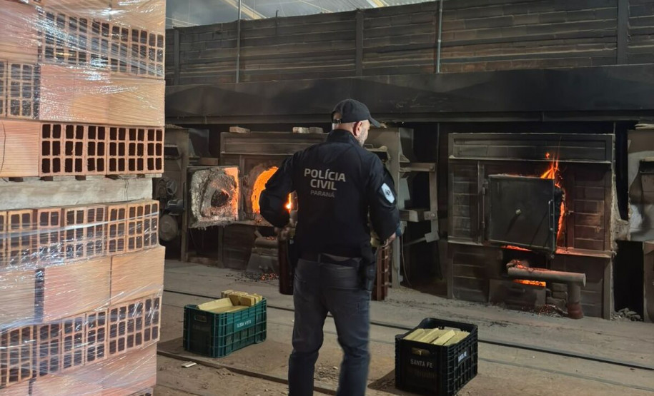 PCPR incinera 114 quilos de drogas apreendidas em Araucária