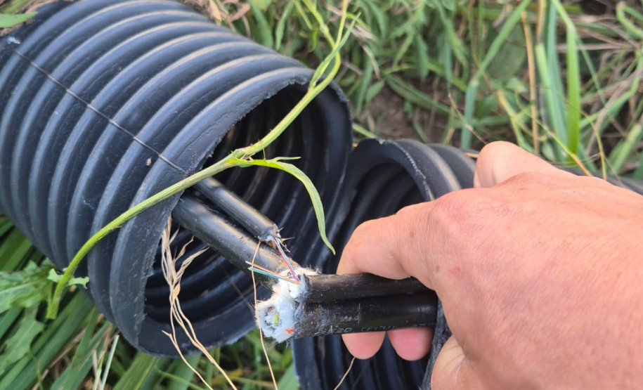 PCPR prende homem em flagrante por tentativa de furto e falsa identidade em Castro