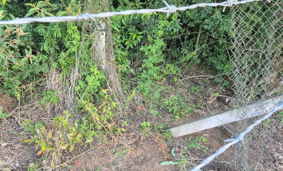 PCPR prende homem em flagrante por tentativa de furto e falsa identidade em Castro