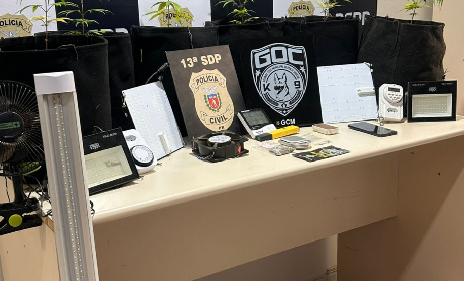 PCPR e GCM apreende cultivo de maconha durante operação com cães em Ponta Grossa