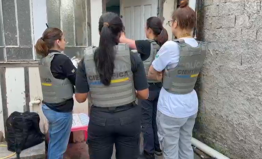 PCPR resgata cães e gatos vítimas de violência em Piraquara