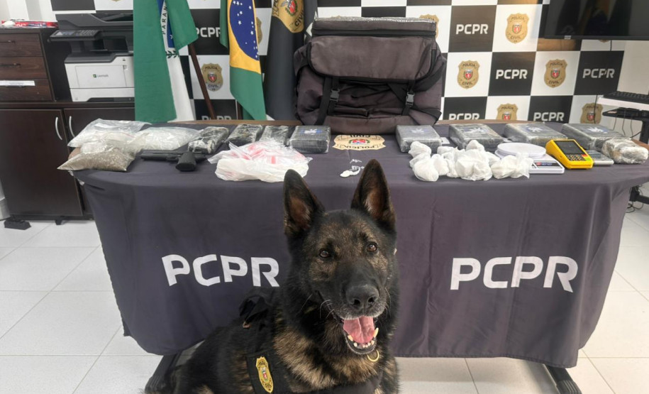 PCPR e PMPR apreendem quase 150 toneladas de drogas com apoio de cães em 2025
