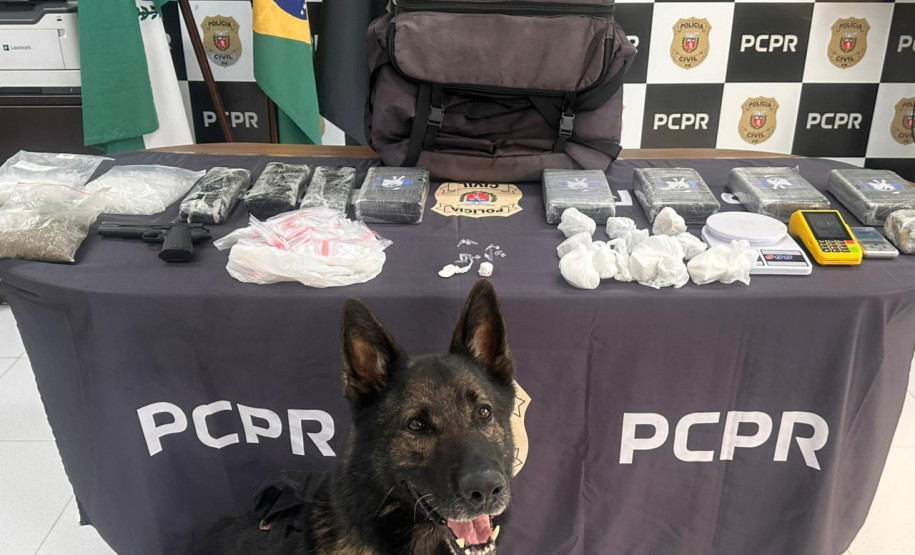 PCPR identifica envolvidos, prende mandante de duplo homicídio e apreende drogas em Matinhos