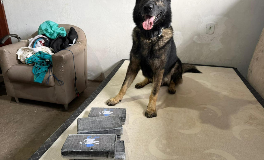 PCPR identifica envolvidos, prende mandante de duplo homicídio e apreende drogas em Matinhos