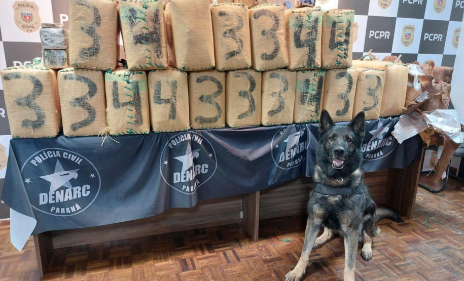 PCPR e PMPR apreendem quase 150 toneladas de drogas com apoio de cães em 2025