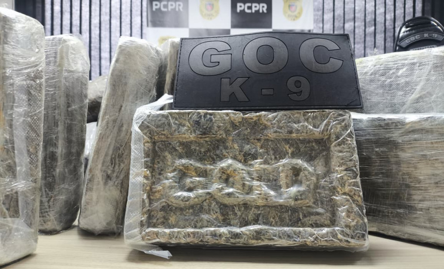 PCPR e GCM prendem homem em flagrante e apreende 30 kg de maconha modificada em Curitiba