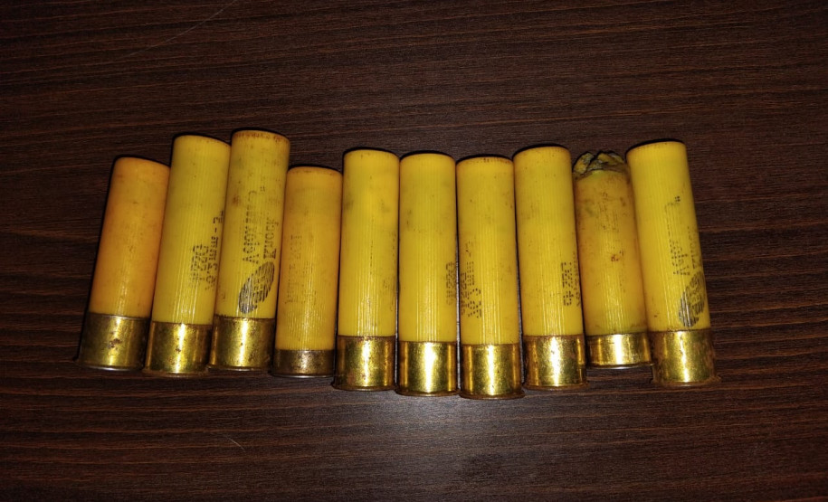 PCPR prende homem por posse irregular de arma e outros crimes em Araucária